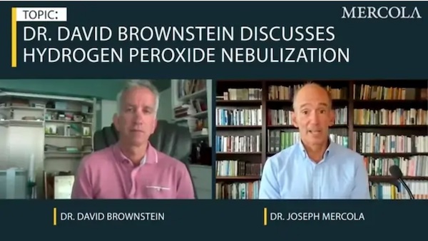 Dr. David Bersteine
                                              Dr. Mercola Covid Cures